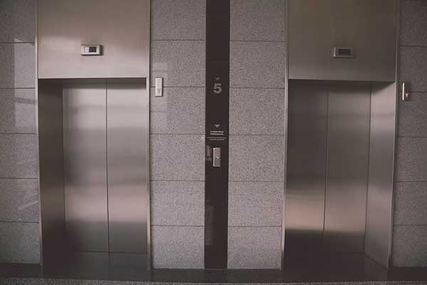 Comment apprendre à votre chien à monter dans les ascenseurs