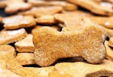 10 recettes de friandises pour chiens au beurre de cacahuète maison