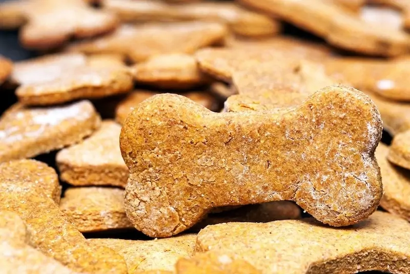 10 recettes de friandises pour chiens au beurre de cacahuète maison