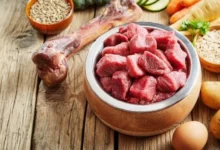 10 recettes de nourriture maison pour chiens au bœuf