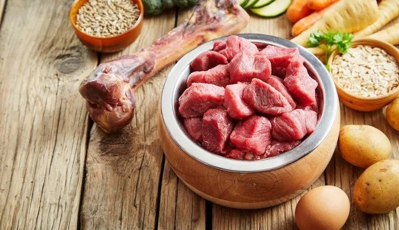10 recettes de nourriture maison pour chiens au bœuf