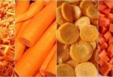 Les chiens peuvent-ils manger des carottes
