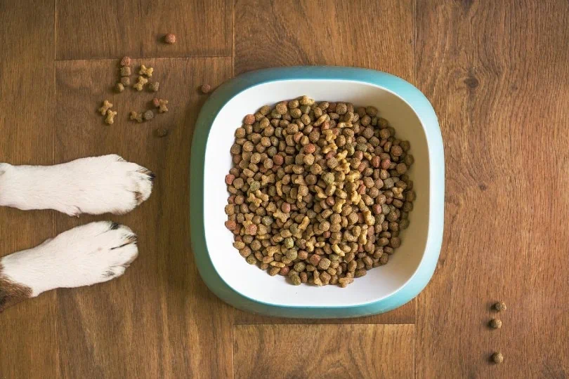 Pouvez-vous acheter de la nourriture pour chien avec des coupons alimentaires