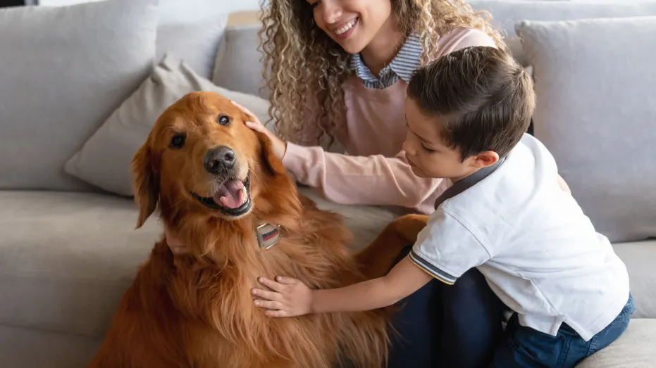 Apprendre aux enfants à interagir en toute sécurité avec les chiens