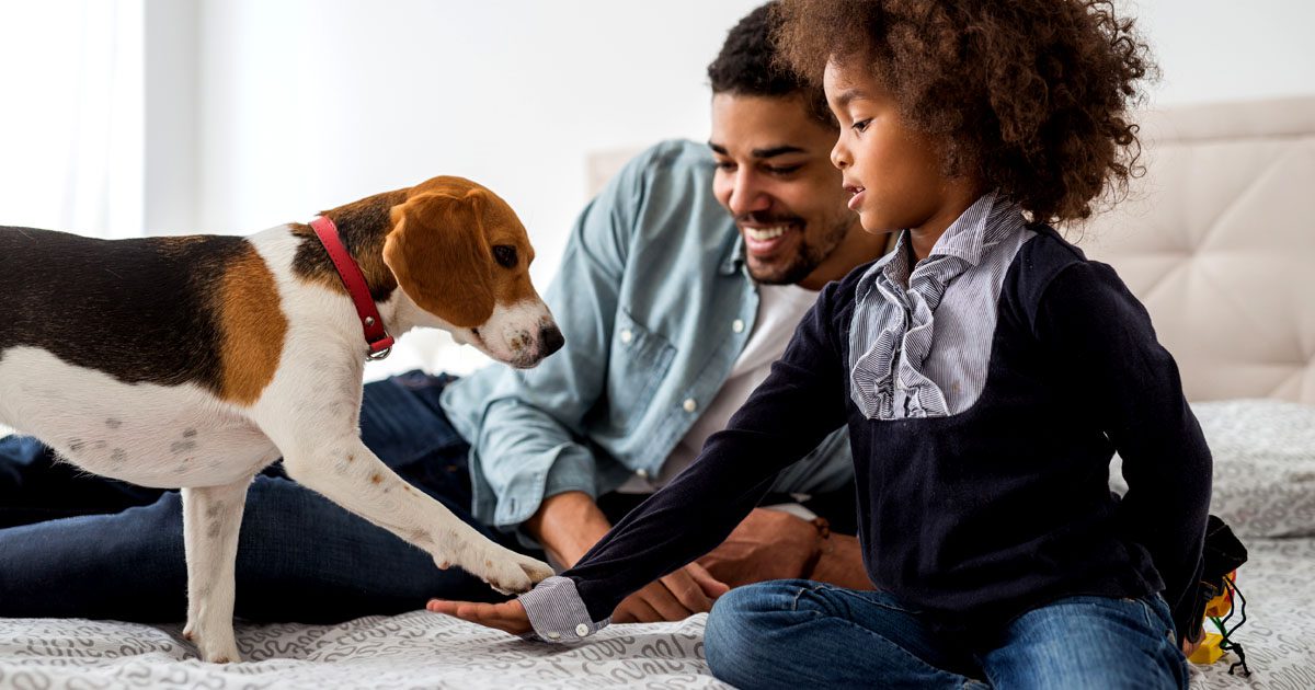Impliquer les enfants dans la préparation à l'adoption d'un chien